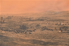 L.A. Huffman Original Montana 1907 Photo Print