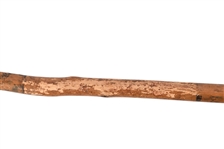 Rare Northern Plains Indian Iron Tipped Spear