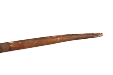 Rare Northern Plains Indian Iron Tipped Spear