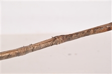 Rare Wind River Indian Reservation Big Horn Mountain Bow