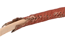 Rare Buffalo Rib Indian Dance Bow