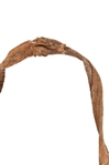 Rare Indian Rawhide Shield w/ Painted Buffalo