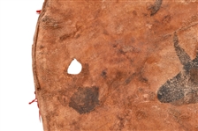 Rare Indian Buffalo Hide Shield w/ Painted Buffalo
