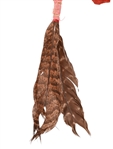 Rare Indian Buffalo Hide Shield w/ Painted Buffalo
