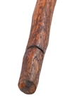 Hand Carved Indian Horse Head Dance Stick