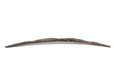 Elkhorn Indian Bow Found Near Big Bend Texas