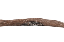Elkhorn Indian Bow Found Near Big Bend Texas