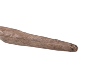 Elkhorn Indian Bow Found Near Big Bend Texas