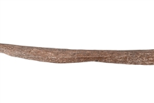 Elkhorn Indian Bow Found Near Big Bend Texas
