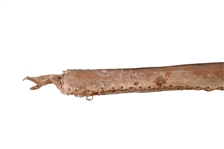American Indian Rawhide Stone-Head War Club