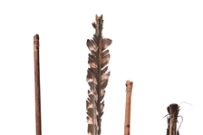 Collection of (10) Indian Handmade Arrows