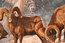 Gary R. Swanson Oil Painting of Rams