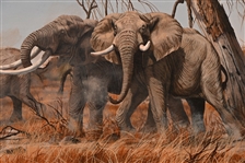 Gary R. Swanson Oil Painting of Elephants