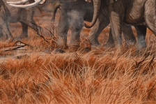 Gary R. Swanson Oil Painting of Elephants