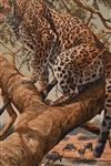 Gary R. Swanson Oil Painting of Leopards