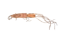 American Indian Bone Handle Knife & Sheath