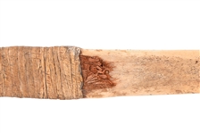 Buffalo Bone Blade Indian Knife