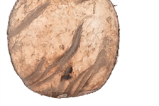 Indian Hide Wrapped Ceramic Water Canteen