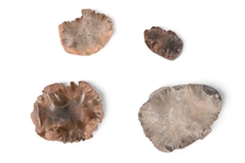Collection of 4 Indian Buffalo Calling Stones