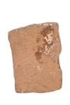Indian Fire Starter Stone