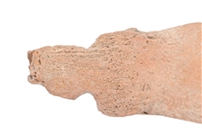Indian Buffalo Bone Hoe or Spoon