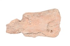 Indian Buffalo Bone Hoe or Spoon