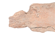 Indian Buffalo Bone Hoe or Spoon