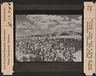 Wyoming and Colorado Negative Glass Slides c.1920s