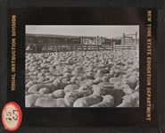 Wyoming and Colorado Negative Glass Slides c.1920s