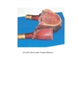 Mexican General Santa Anna's Pommel Holsters
