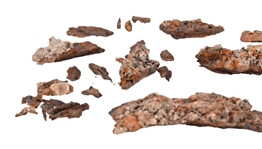 Alamo Battlefield Relics From 2008 Excavation