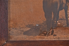 Large Cattle Drive Scene Photo