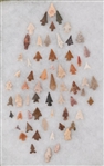 62 Point Arrowhead Collection