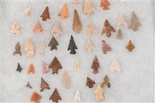 62 Point Arrowhead Collection
