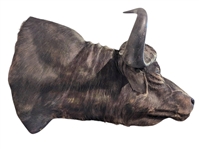Cape Buffalo Shoulder Mount