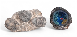 Josh Simpson Tektite Portal & Trilobite Fossil