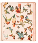 Large Early 20th Century Scrapbook