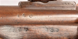 Austrian/German Percussion Rifled Musket