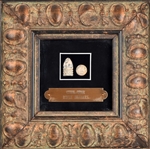 (2) Framed Civil War Artifact Displays